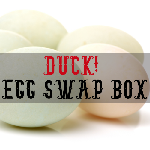 Farm Fresh Duck Eggs at Petal and Plow Farm