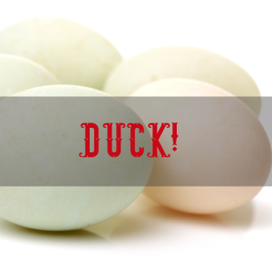 Farm Fresh Duck Eggs at Petal and Plow Farm